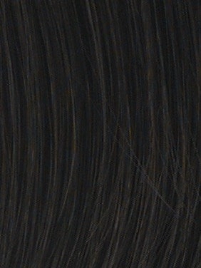 21" Straight HF Synthetic Hair Extension (1 Piece) | Clip In | DISCONTINUED