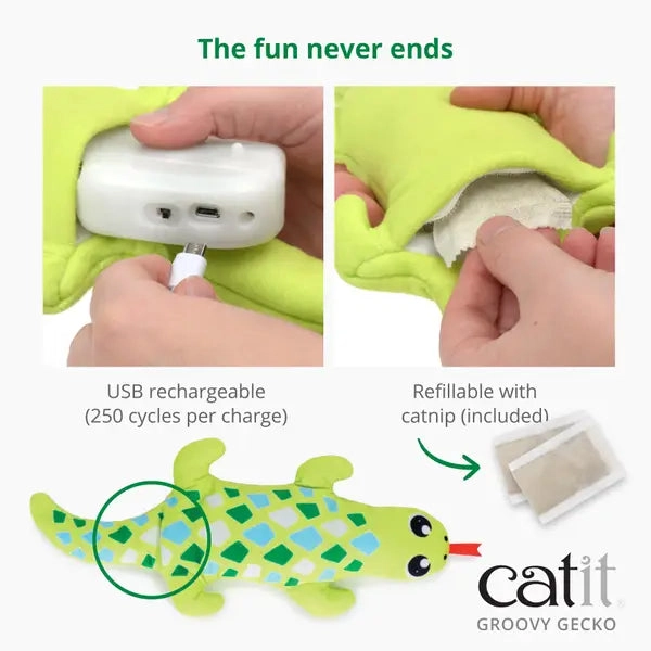 Catit Groovy Gecko Plush Cat Toy with Catnip