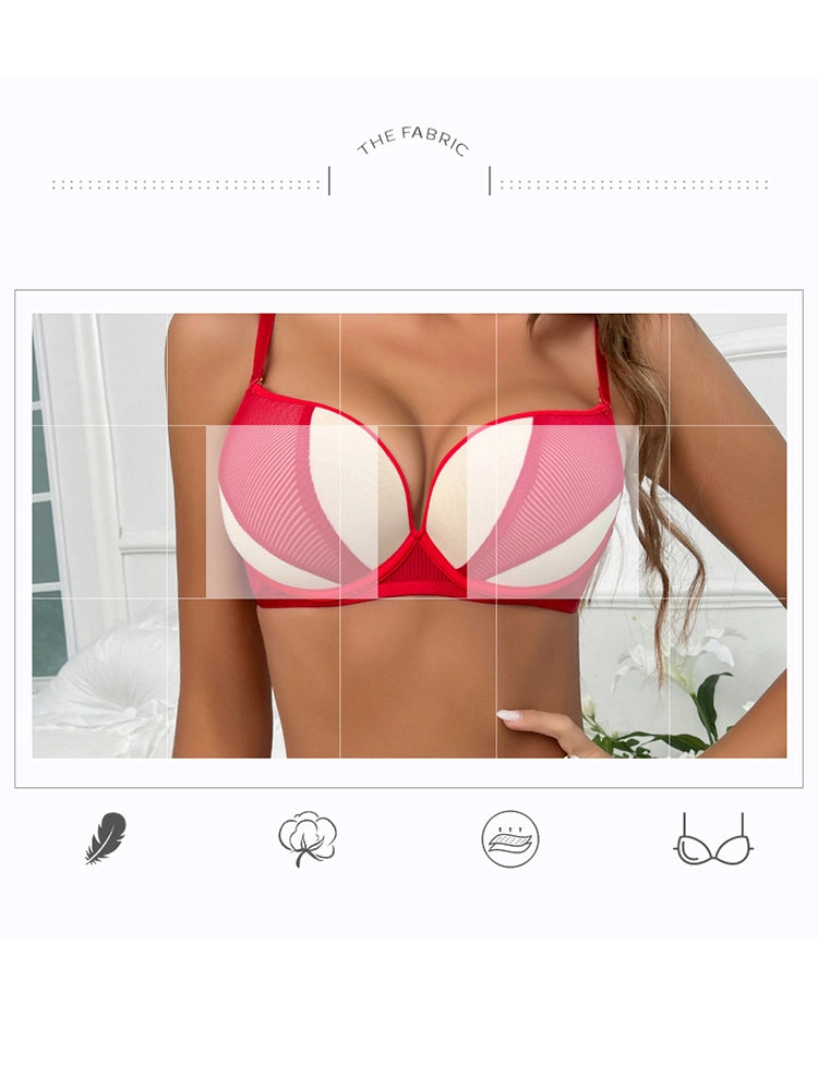 Contrast Color Mesh Push-up Underwire Bra Set