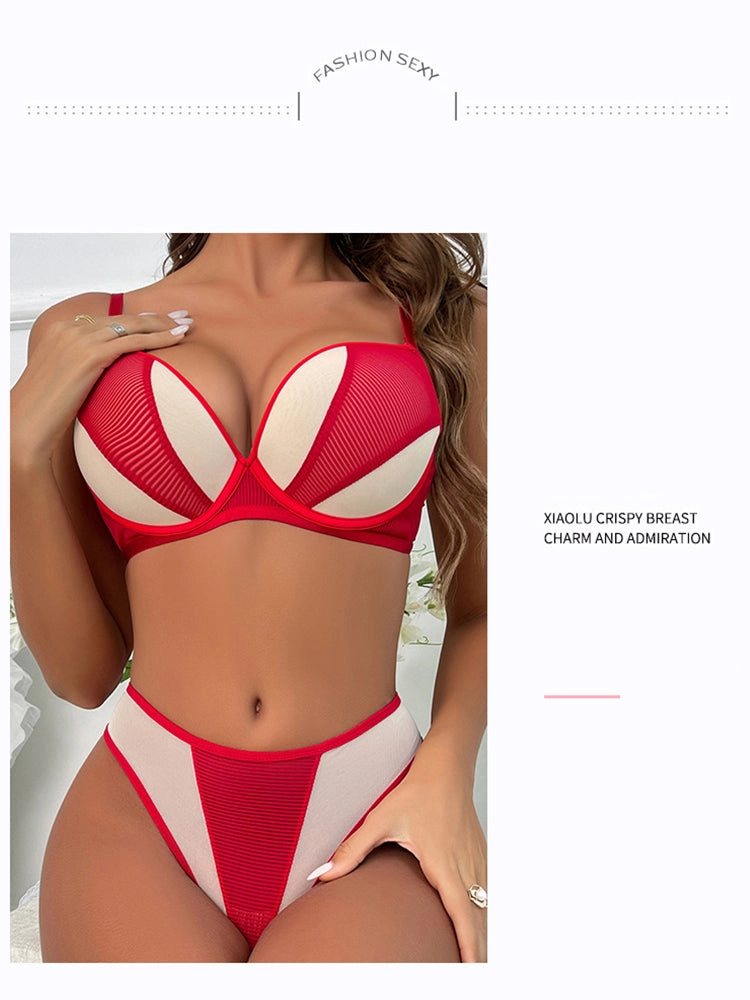 Contrast Color Mesh Push-up Underwire Bra Set