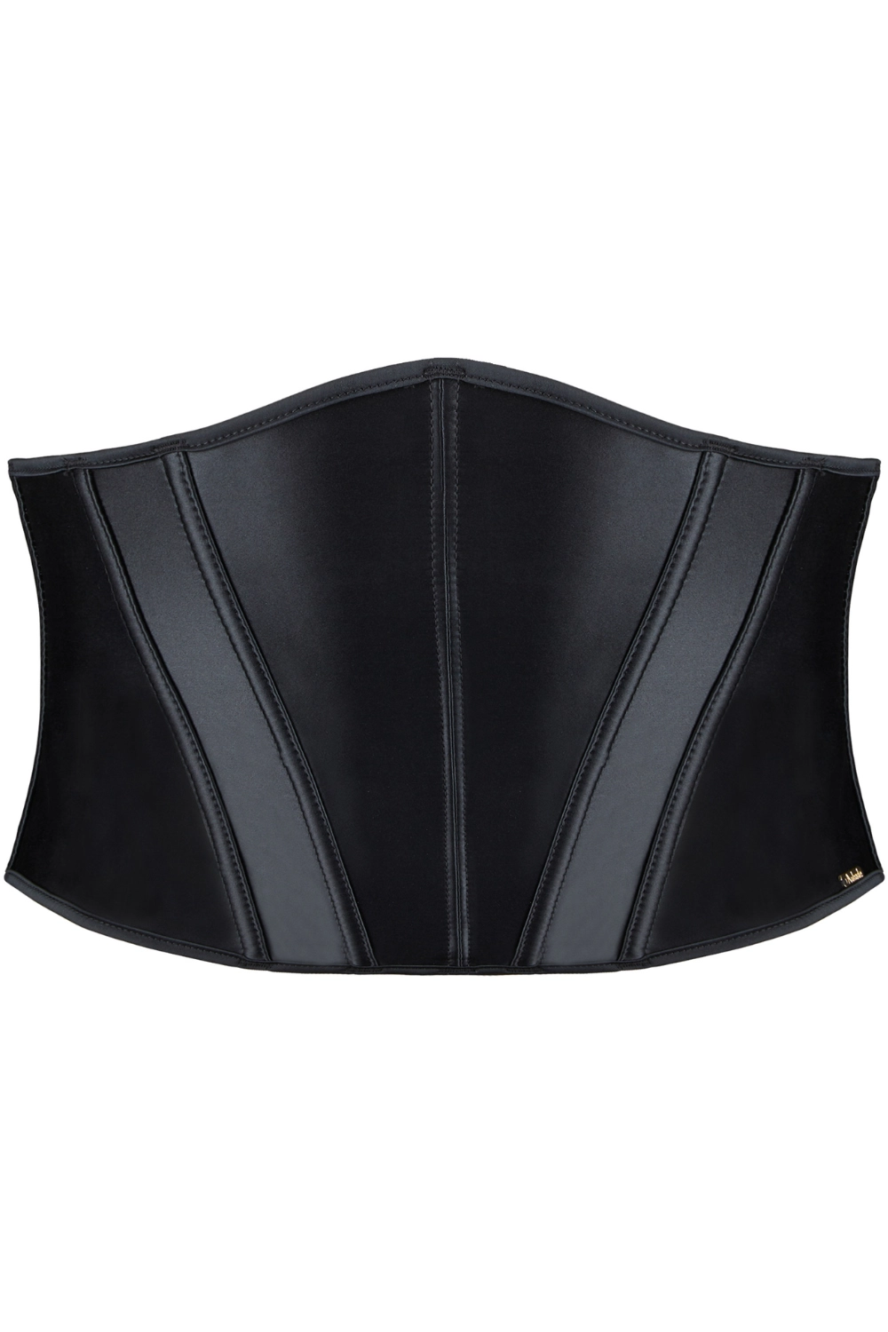 Iconic Allure Satin Waist Cincher
