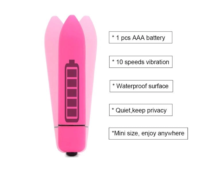 Metallic Pleasure Plug Combo