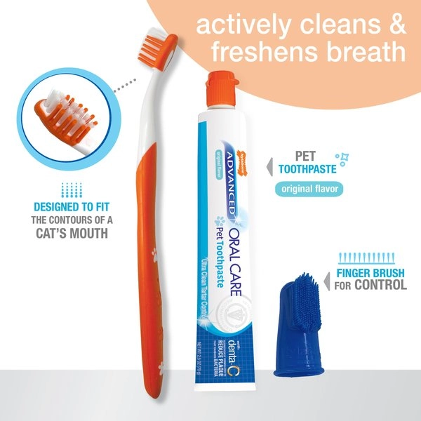 Nylabone Advanced Cat Oral Care Dental Kit For Cats
