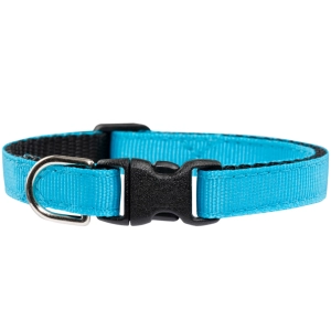 Sweet Pickles 7-10" The Everyday Cat Collar - Turquoise