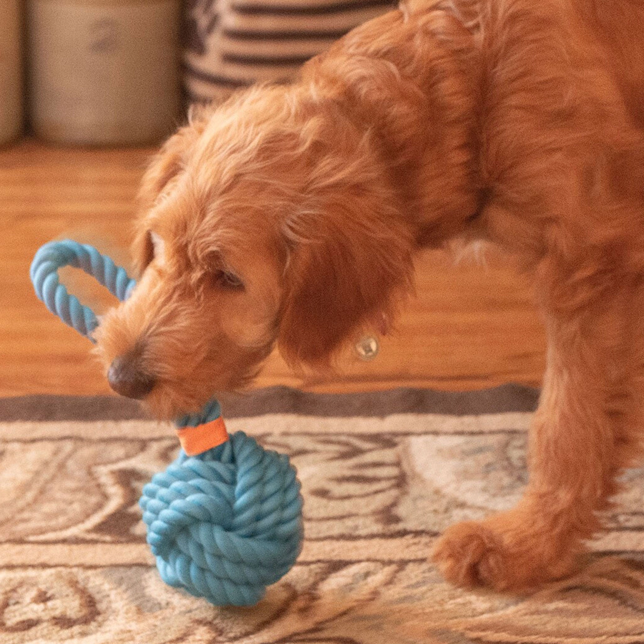 Thoozy Pet Ball Tug Rope Blue Dog Toys