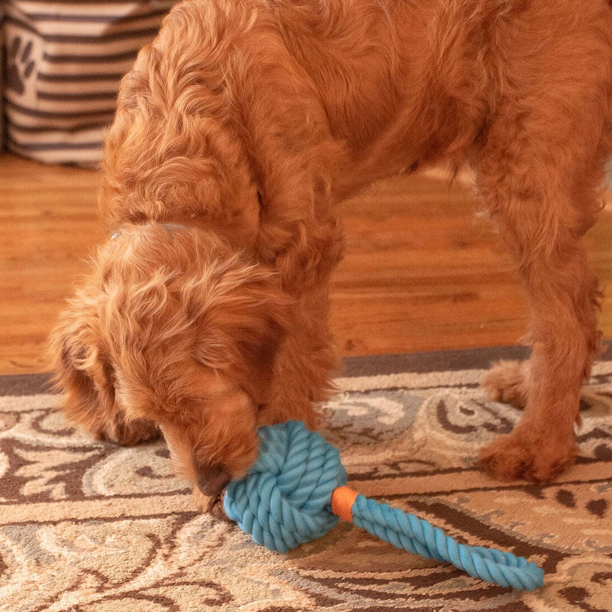 Thoozy Pet Ball Tug Rope Blue Dog Toys